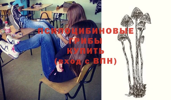 2c-b Балабаново